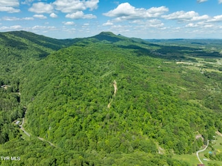 950 Caney Creek Ln, Greeneville, TN 37745