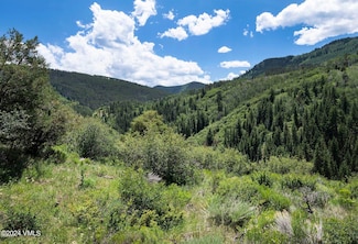602 Colorow Rd, Edwards, CO 81632