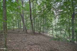 Tract 1l Payne Ridge Rd, Church Hill, TN 37642