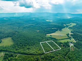 TBD Wren Hollow Rd, Woolwine, VA 24185