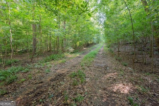 198.62+/- ACRES Apalachee Woods Trail, Buckhead, GA 30625