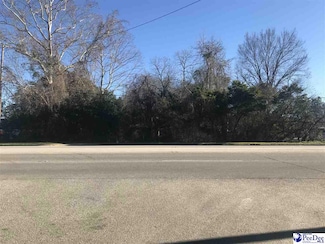 949 S Main St, Darlington, SC 29532