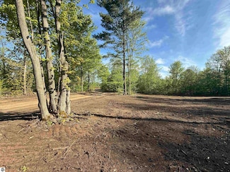 1155 E Solaris Way Unit B4, Maple City, MI 49664