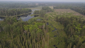 Cherry Creek Trail, Grayling, MI 49738