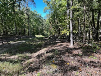 Lot 353 Diana Rd, Spring City, TN 37381