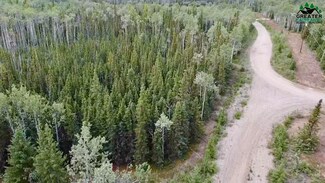 Lot 1 Clearwater Dr, Delta Junction, AK 99737