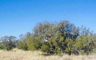 0 Squaw Tank Vista Dr, Heber, AZ 85928