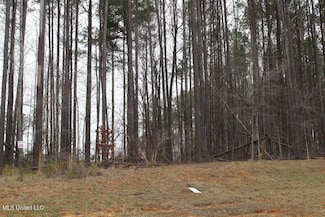 0 Ella Ln Unit 4105809, Byhalia, MS 38611
