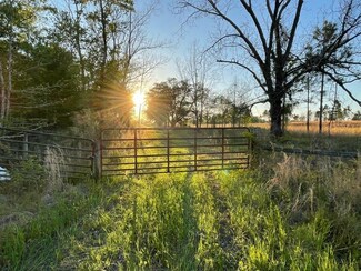 10324 Cedar Springs Rd, Blakely, GA 39823