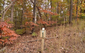 Lot 1 Serenity Ridge Ln, Blairsville, GA 30512