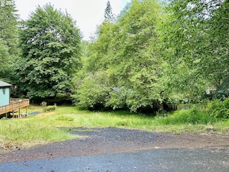 71529 Fishhawk Rd, Birkenfeld, OR 97016