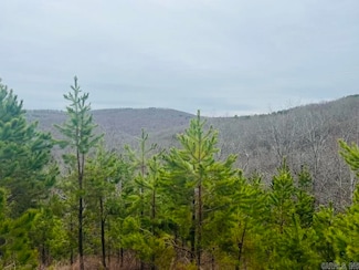 0 Dodd Mountain Rd, Clinton, AR 72031