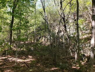 0 Off Mountain Rd-Proctor Pond Rd Unit 1540869, Stoneham, ME 04231