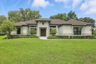 25463 Hawks Run Ln, Sorrento, FL 32776