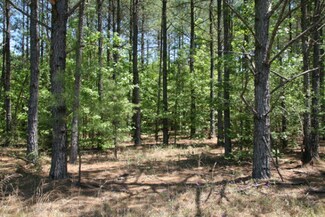 0 W Quaker Rd Unit 324113, Keysville, GA 30816