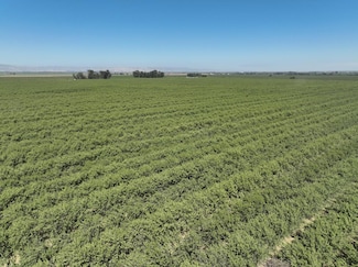 33033 State Highway 16, Woodland, CA 95695