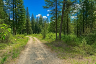 1xx Rocky Canyon Rd Unit 3629220014, Tonasket, WA 98855