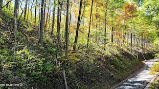 0 Emerald Springs Loop Unit 1282369, Sevierville, TN 37862