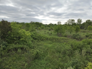 0 Bunkerhill Rd, Jackson, MI 49201