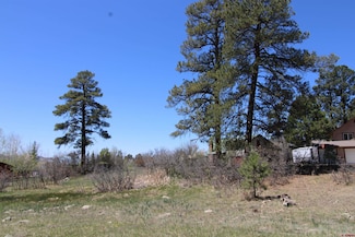 685 Caddy Cir, Pagosa Springs, CO 81147