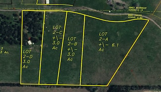 Lot 2A Vineyard View Trail, Carmine, TX 78932