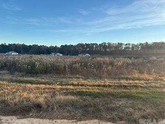 1017 Duke Dr, Bauxite, AR 72011