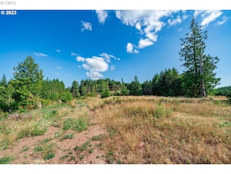 0 S Silver Lake Unit 8 24451043, Castlerock, WA 98611