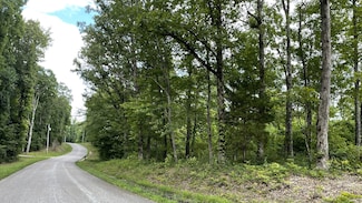 0 Pugh Rd, Holladay, TN 38341