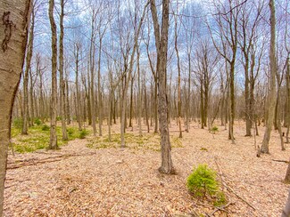 Lot 5 Hoffman Rd, Lehighton, PA 18235