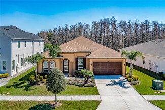 4498 Casella Dr, Wesley Chapel, FL 33543