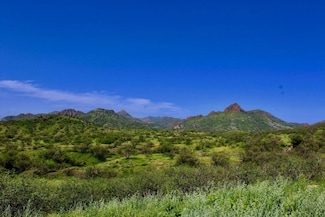 34 Muledeer Dr, Rio Rico, AZ 85648