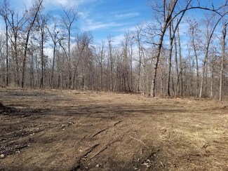 Lot 1 Town Hollow Rd, Anderson, MO 64831