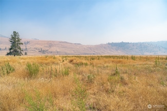 140 Sorona Way E, Tonasket, WA 98855