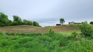 TBD 250thn St E, Douglas Township, MN 55031