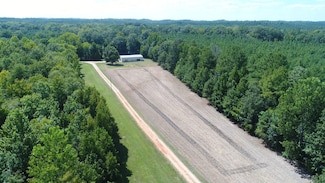 9705 Braggs Rd, Greenville, AL 36037