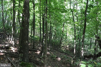 0 Lot 320 Ridge Run Unit PABR2000110, Claysburg, PA 16625