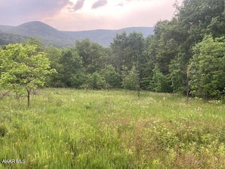 Parcel B Lockards Ln, Claysburg, PA 16625