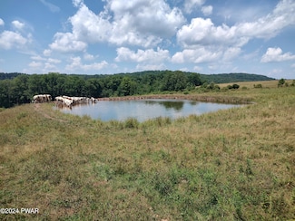 0 Cochecton Turnpike, Tyler Hill, PA 18469