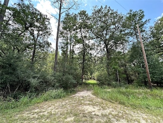 Lot 152 Nottingham Cir, Hockley, TX 77447