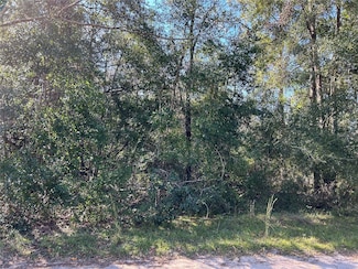 TBD NE 138th Terrace, Williston, FL 32696