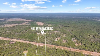 401 Jayhawker Rd, Cleveland, TX 77328