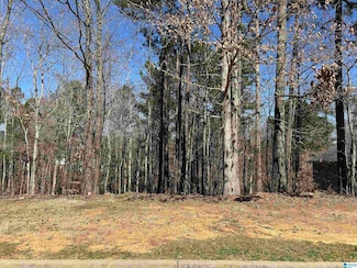 200 Oaklyn Hills Dr Unit 81, Chelsea, AL 35043