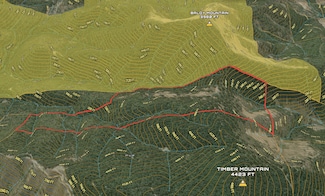 00 Foots Creek Rd Unit 11600, Gold Hill, OR 97525