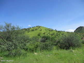 275 Camino Armadillo Unit 162, Rio Rico, AZ 85648