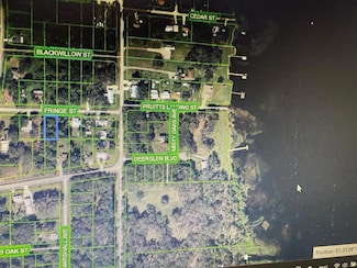 1507 Fringe St, Lake Placid, FL 33852