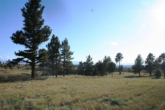 Lot 22 Twopaw Ln, Columbus, MT 59019