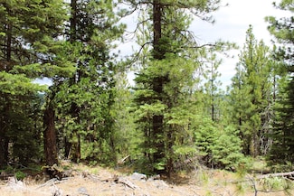 Mammoth Dr, Alturas, CA 96101