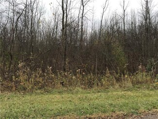 0 Ball Rd Unit R1090642, Marion, NY 14505