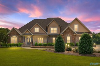 25608 Old School House Rd, Toney, AL 35773