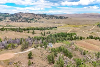 65 Riata Run Rd, Hartsel, CO 80449